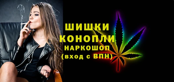 СК Новозыбков