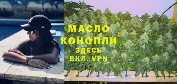 СК Новозыбков