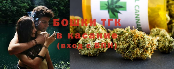 СК Новозыбков
